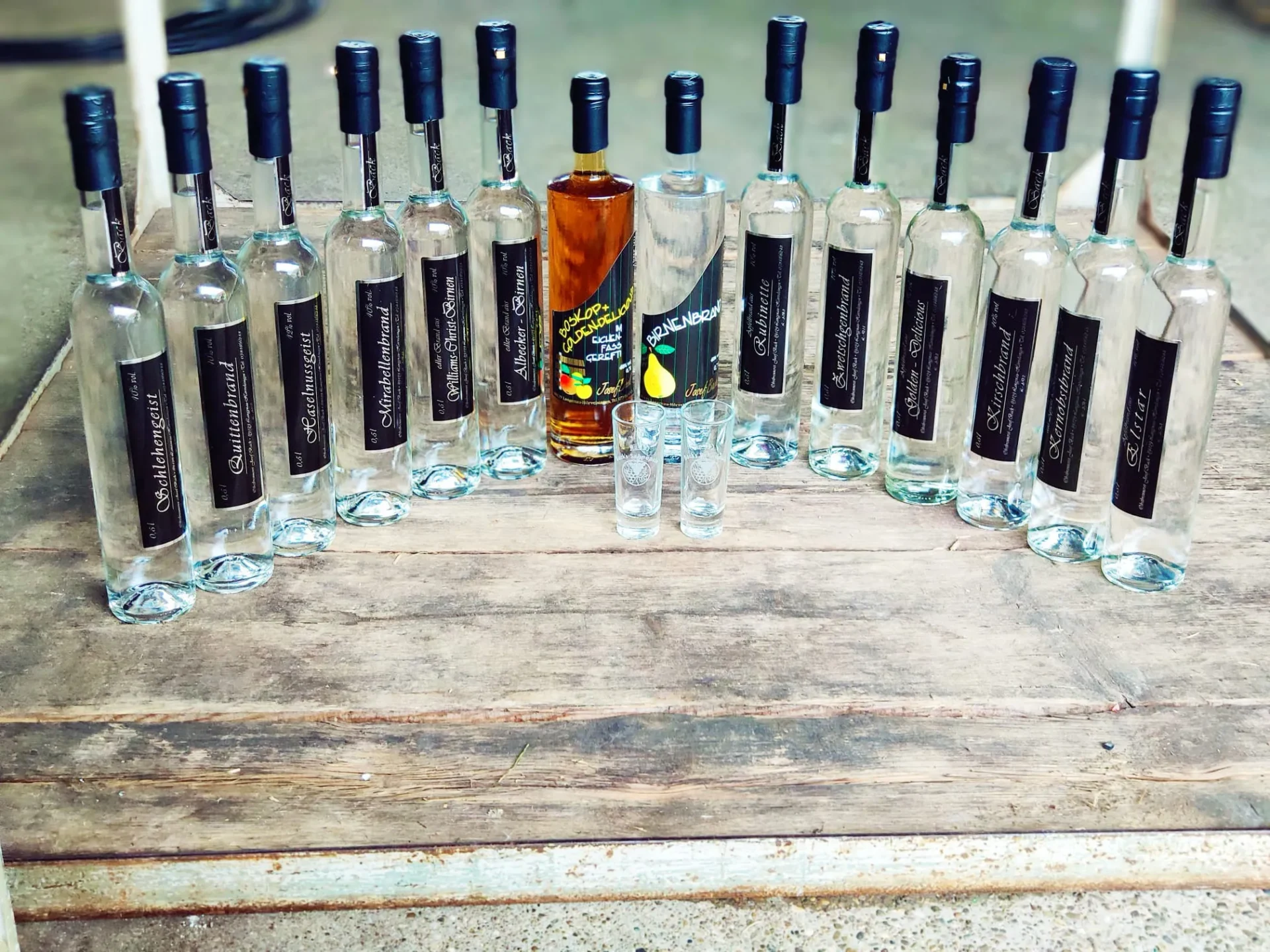 Schnaps Sortiment der Brennerei Back aus Hörvelsingen