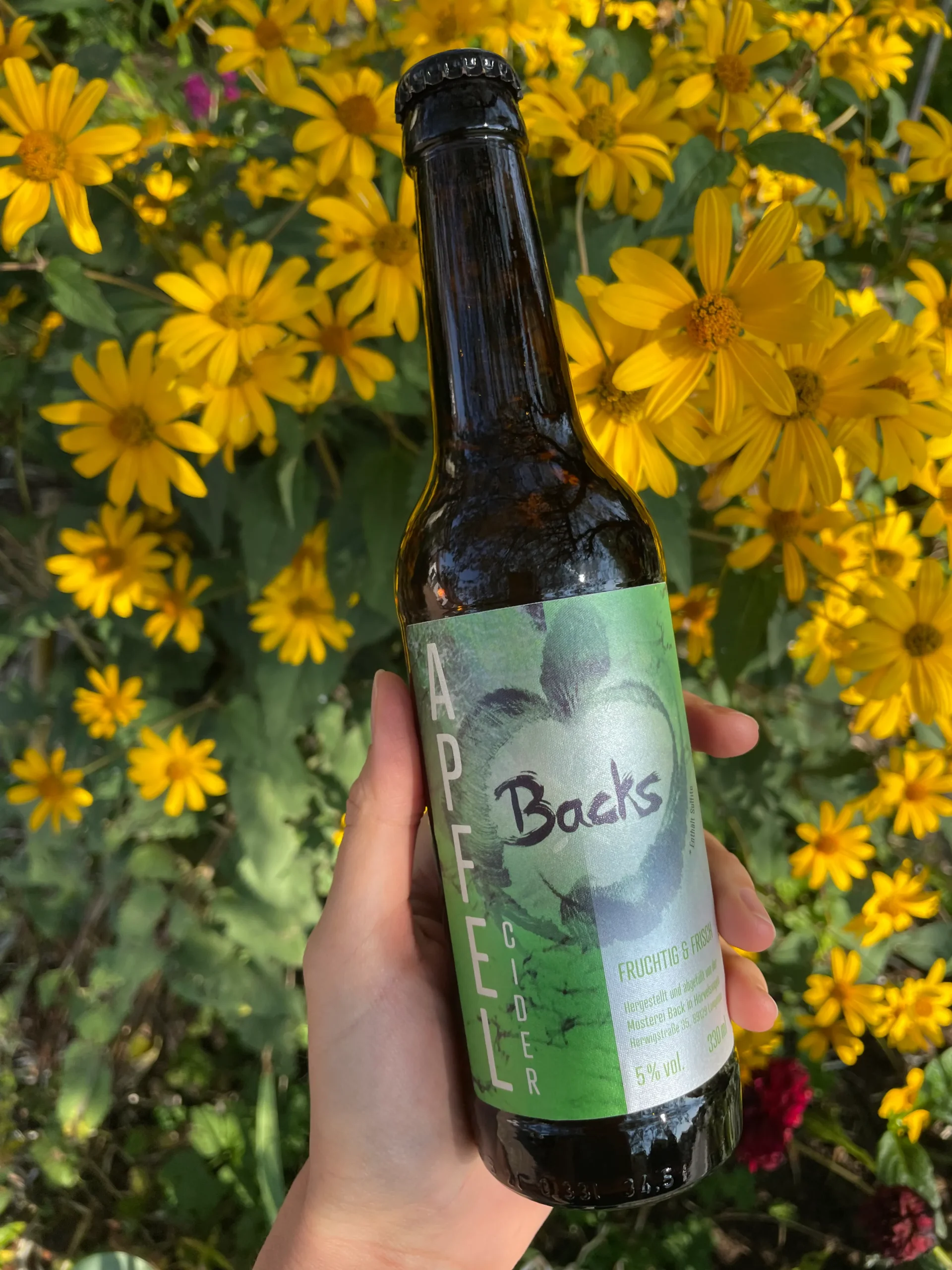 Eine Hand hält eine einzelne Flasche Backs Apfel-Cider vor Strauch mit gelben Blumen